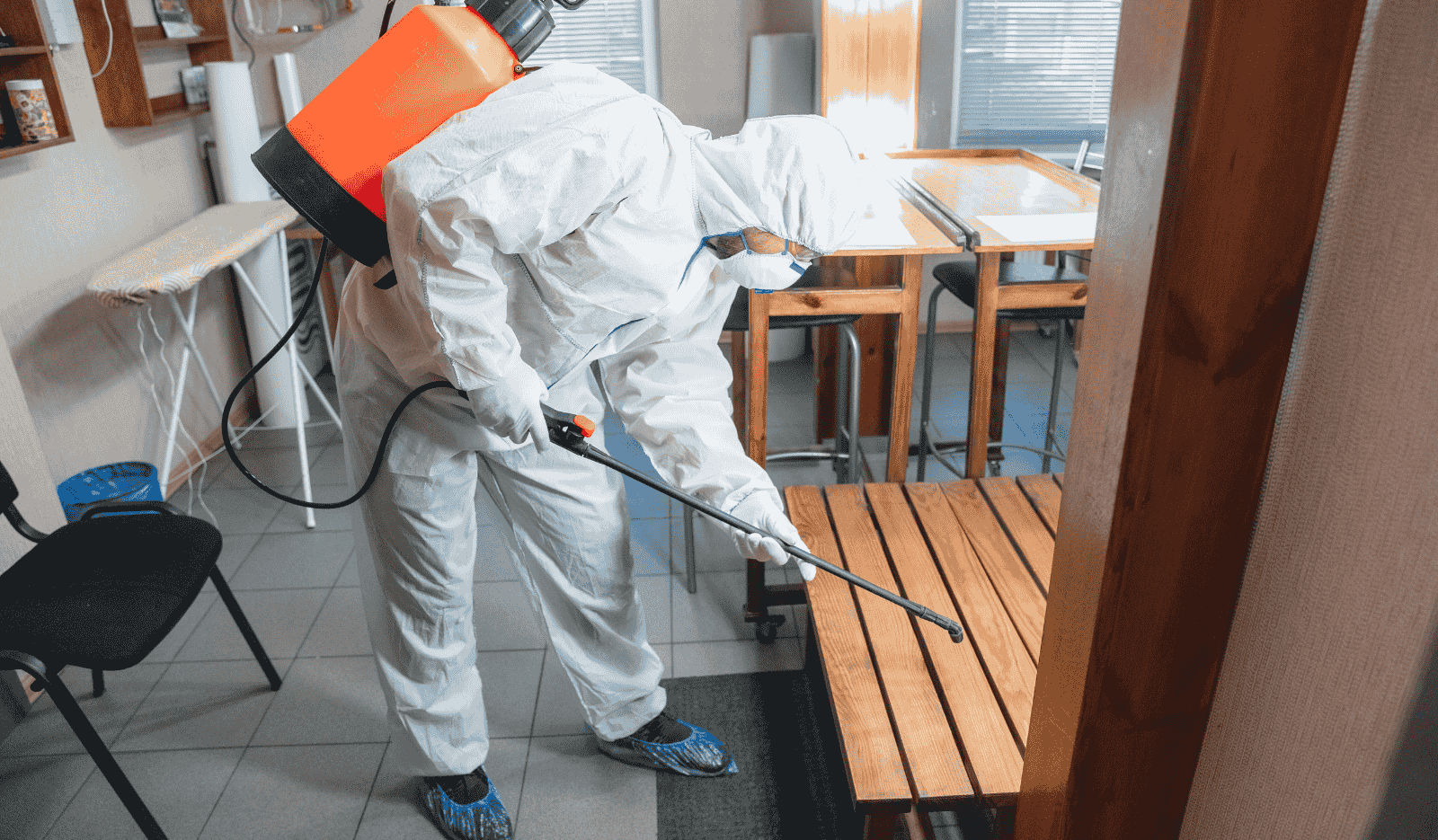 Anti Termite Treatments
