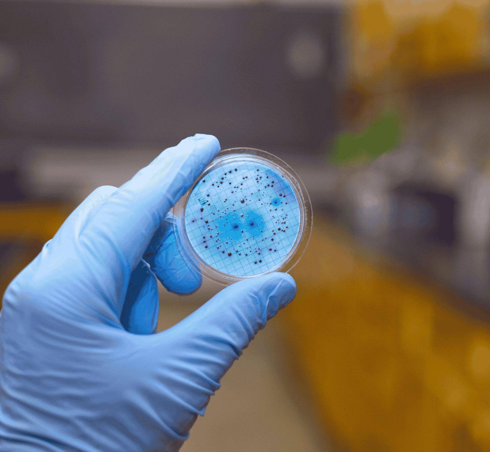 Experts in Pest Management