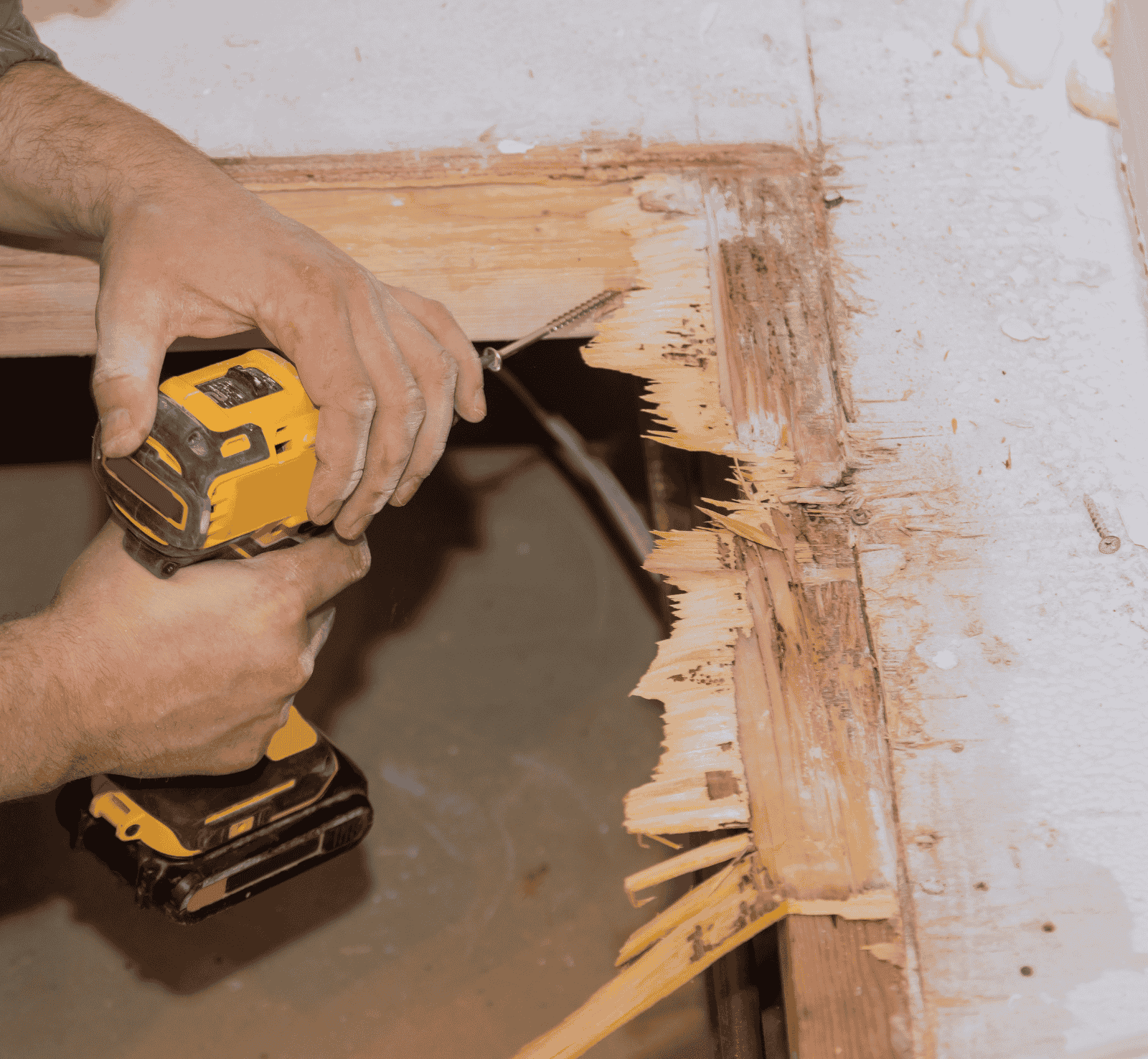 Experts in Pest Management